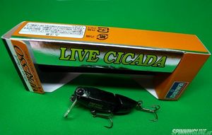 Изображение 1 : Daiwa P-Live Cicada – голавлевый жуковоблер